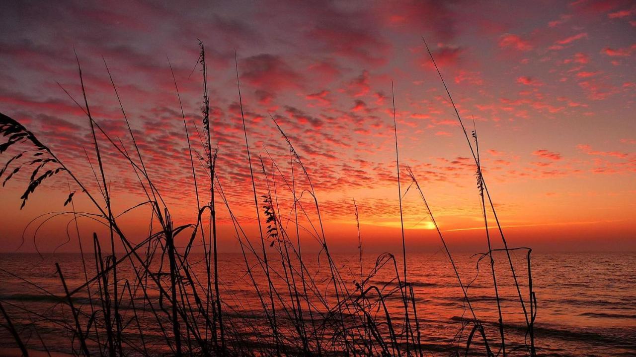 Coconut Paradise St. Pete Beach Zewnętrze zdjęcie