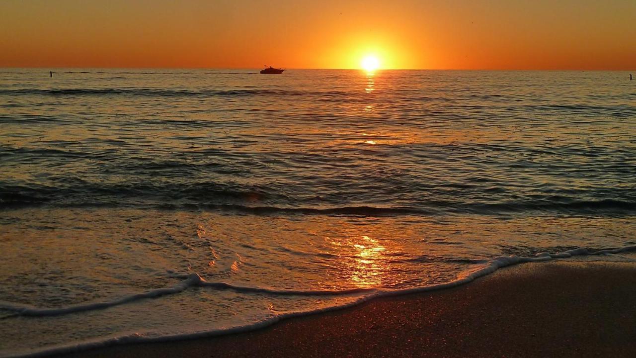 Coconut Paradise St. Pete Beach Zewnętrze zdjęcie