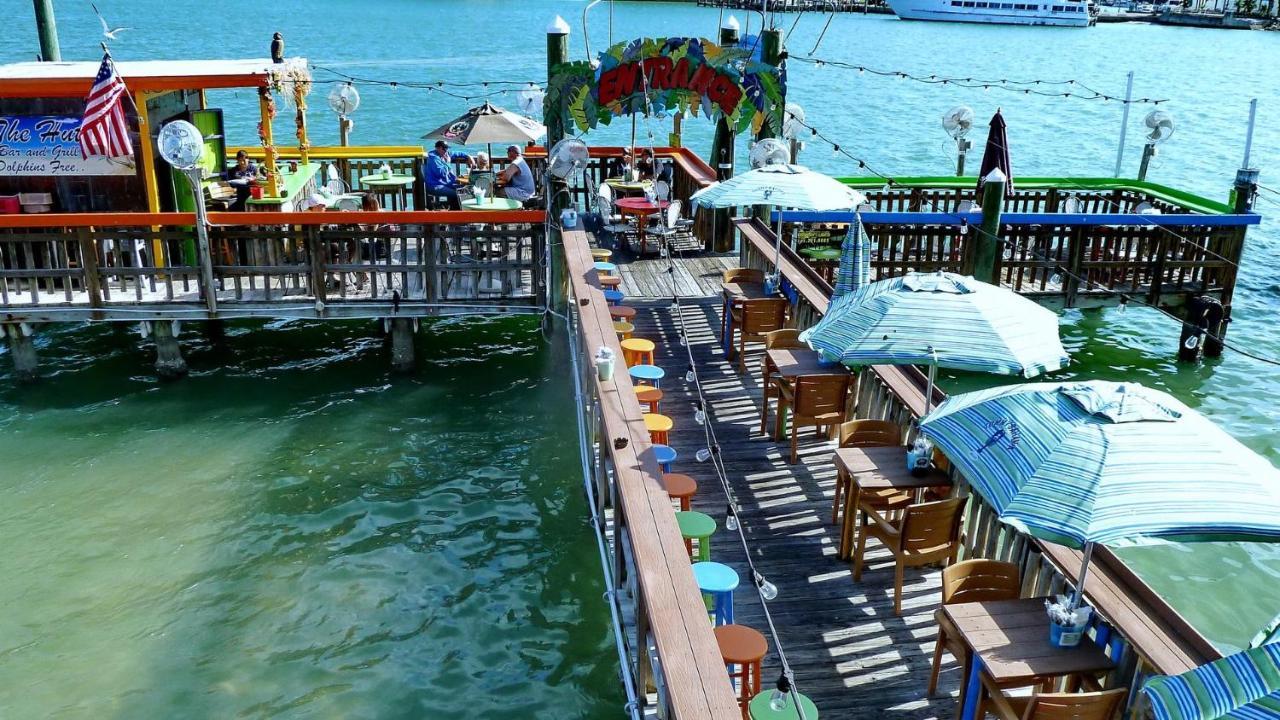 Coconut Paradise St. Pete Beach Zewnętrze zdjęcie