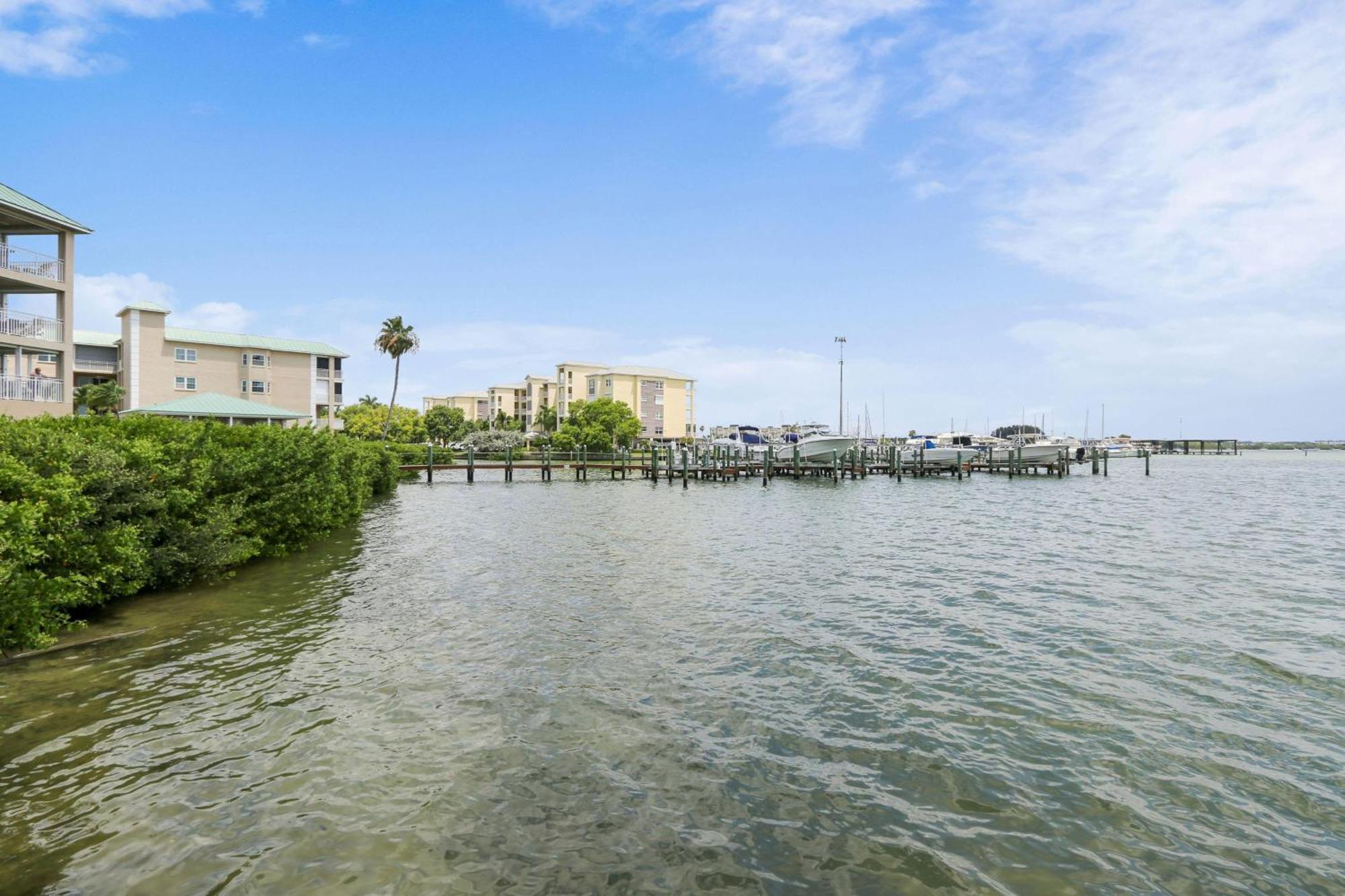 Coconut Paradise St. Pete Beach Zewnętrze zdjęcie