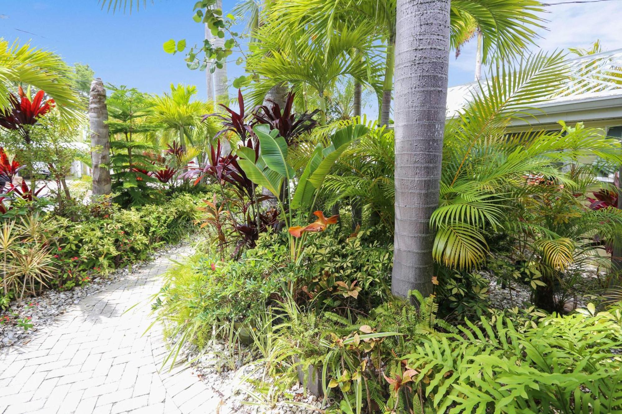 Coconut Paradise St. Pete Beach Zewnętrze zdjęcie